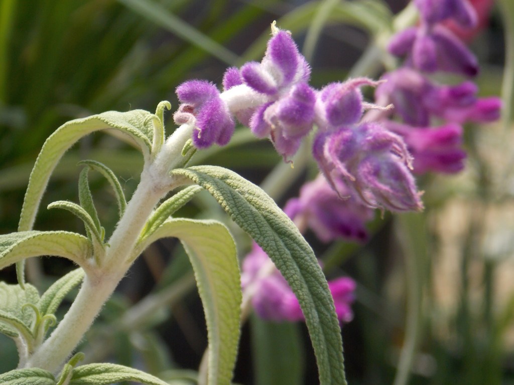 the cover reveal’s in 2 days. thanks,&nbsp;guys!