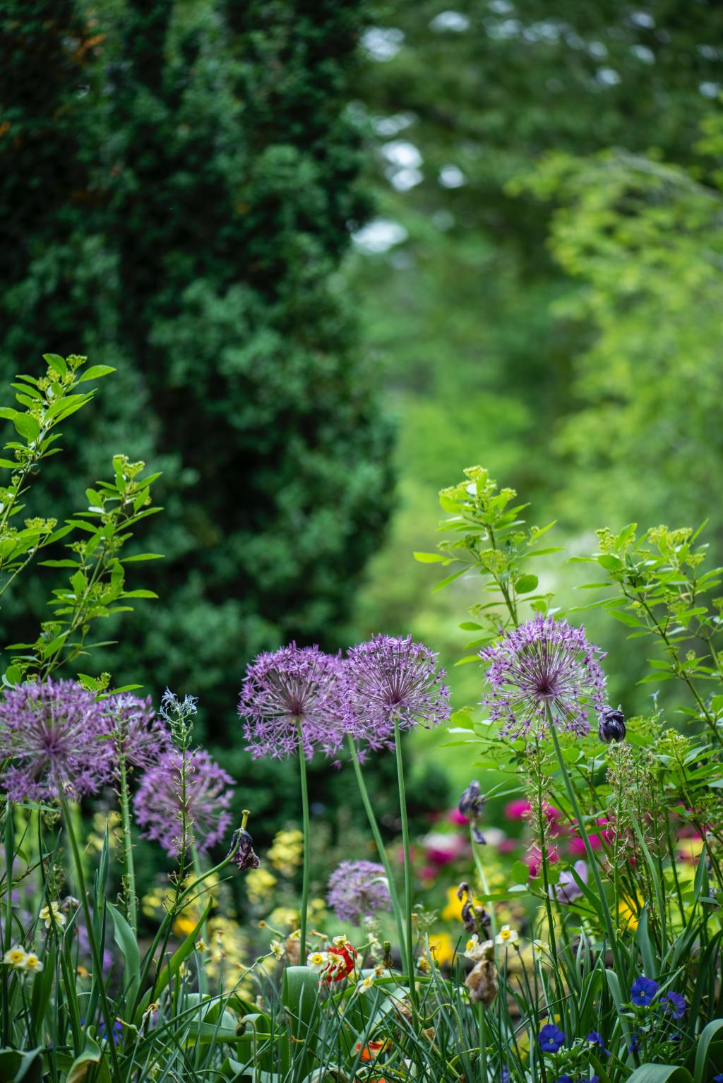 5 Plants That Repel&nbsp;Pests